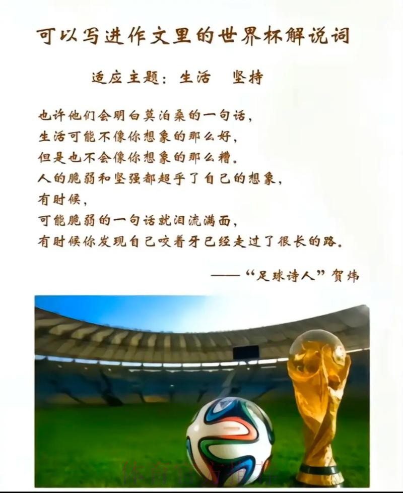 深入解析世界杯下注的意义与影响