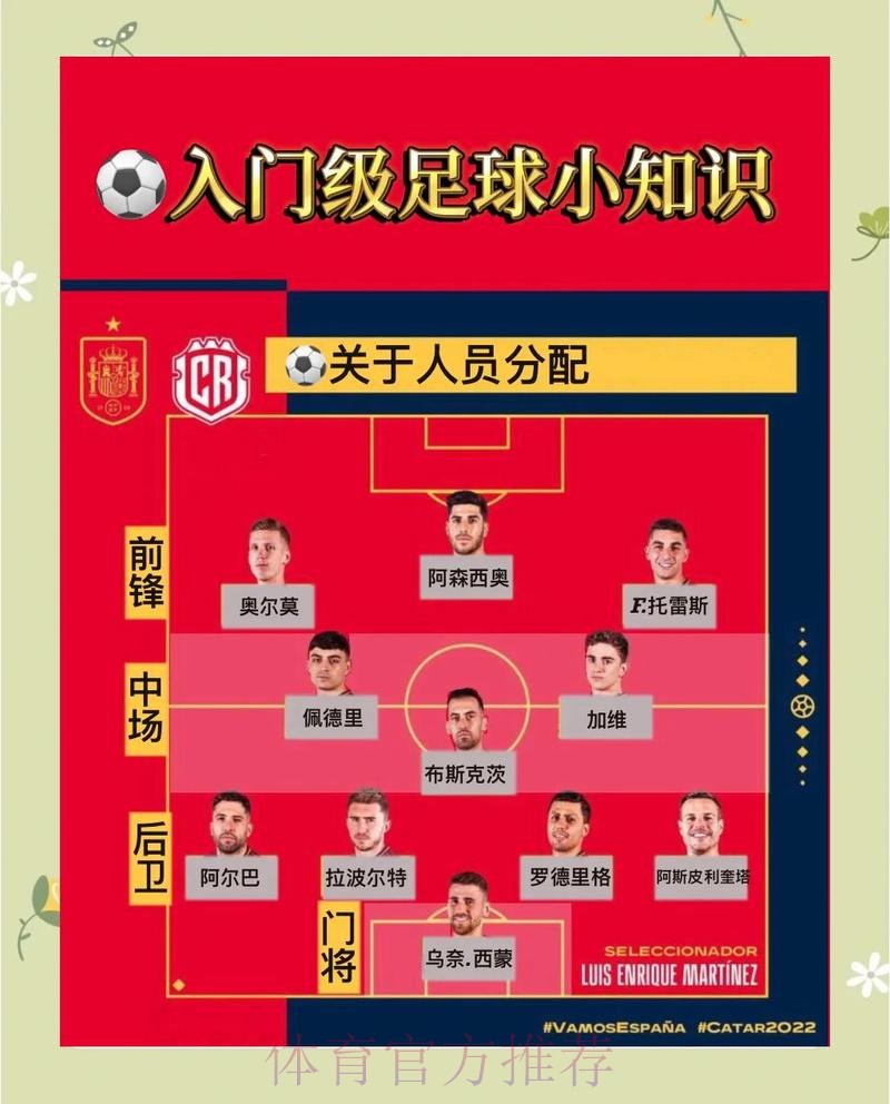 深入解析世界杯比赛预测与分析全攻略